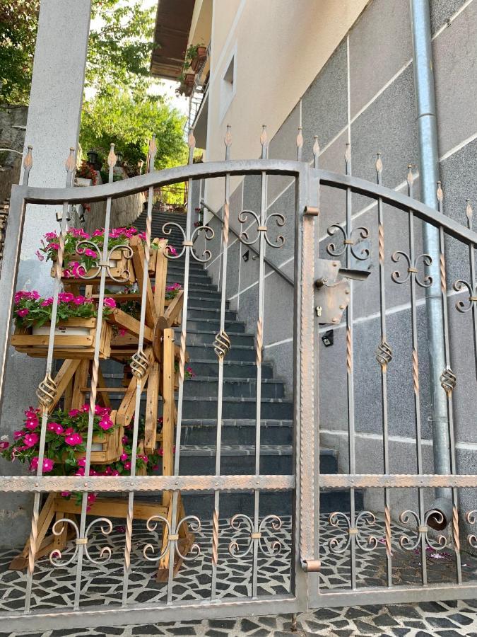 מוסטר Bonita Apartments מראה חיצוני תמונה