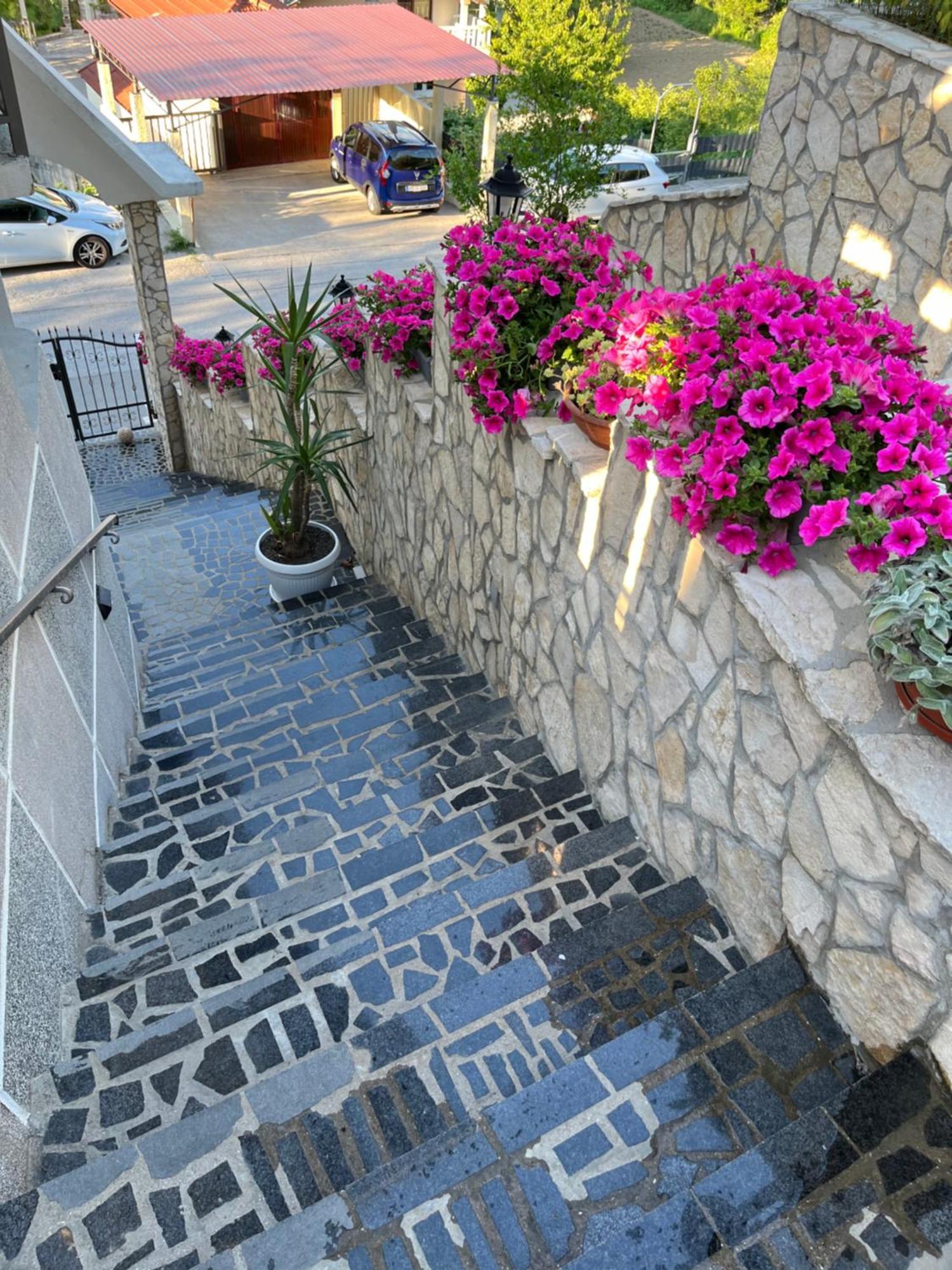 מוסטר Bonita Apartments מראה חיצוני תמונה